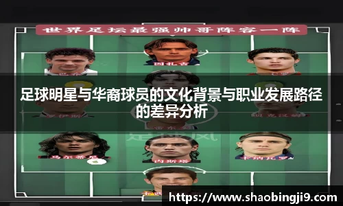 足球明星与华裔球员的文化背景与职业发展路径的差异分析